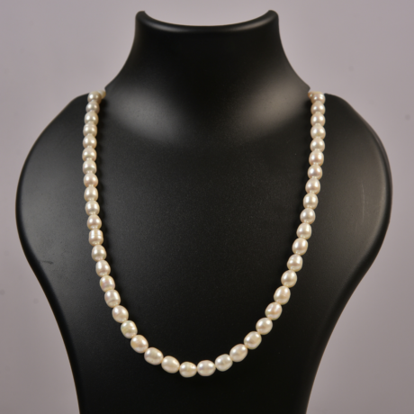 <div style="font-family: 'Georgia', serif; color: #333; line-height: 1;">   <h2 style="color: #b88e56; font-size: 0.8em; letter-spacing: 2px;  margin-bottom: 15px;">Eterna Oval White Pearl Necklace</h2></div>